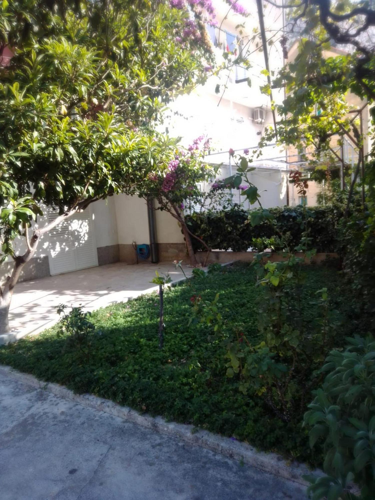 Apartment Andelka Omiš Eksteriør billede