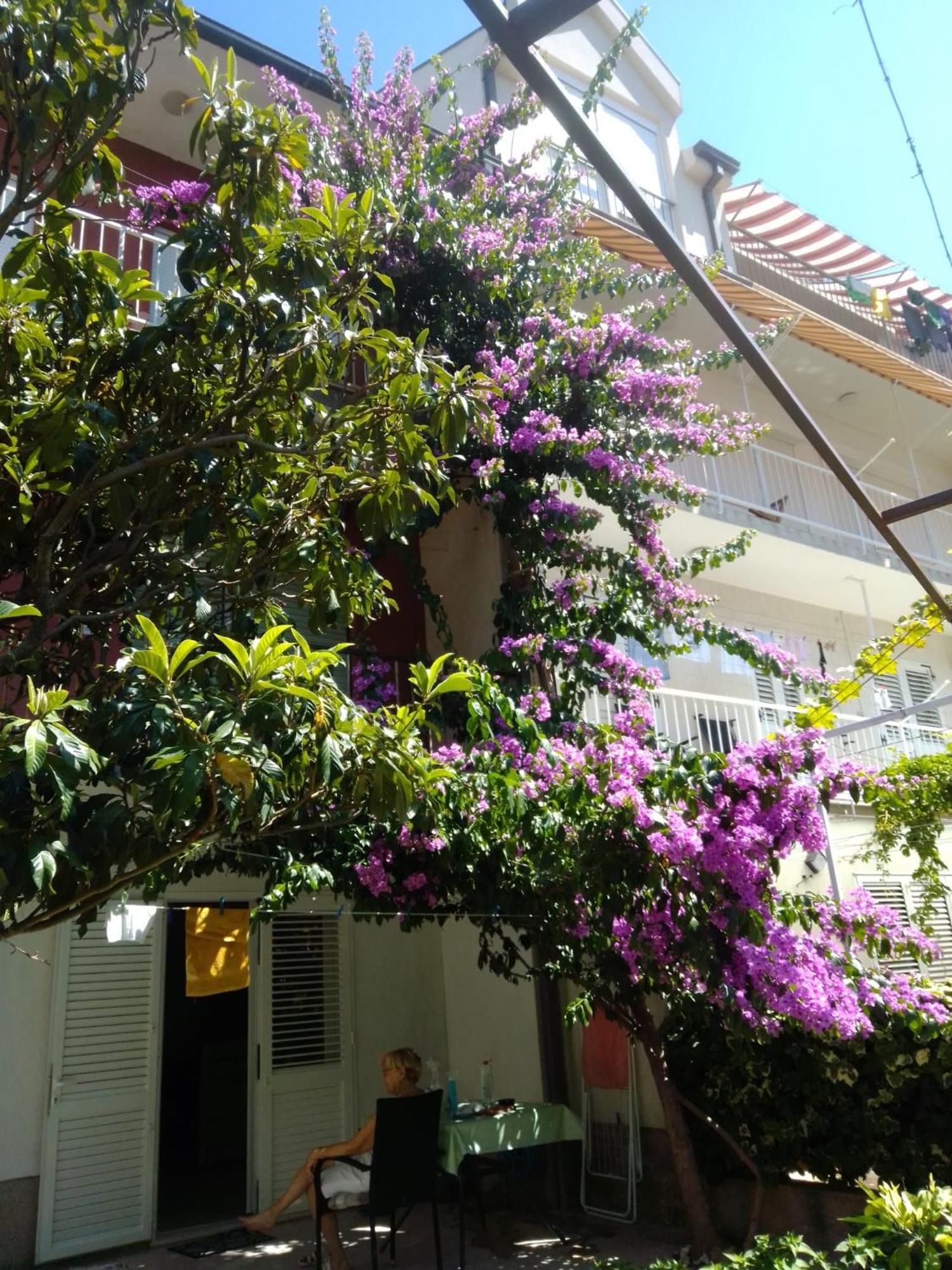 Apartment Andelka Omiš Eksteriør billede